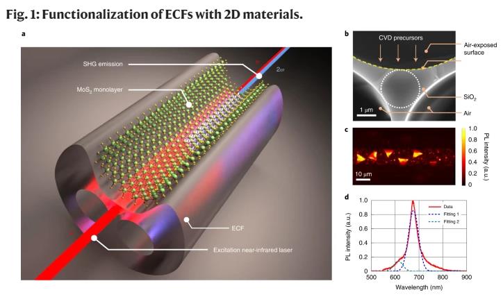 In-fibre second-harmonic generation with embedded two-dimensional materials